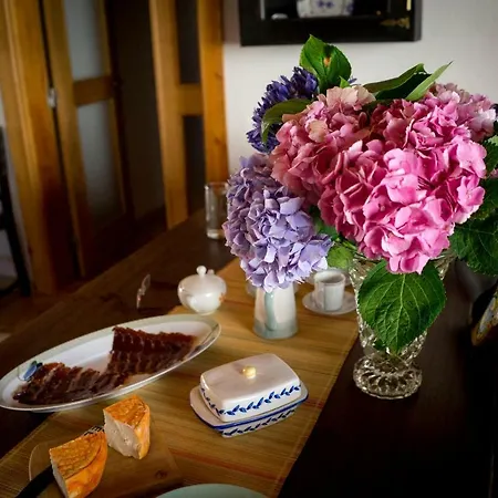 Pensión Casa De Harry E Carrie Alvorninha